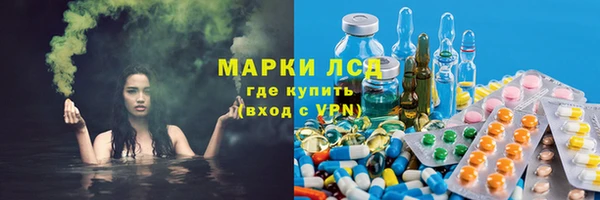 стаф Коряжма