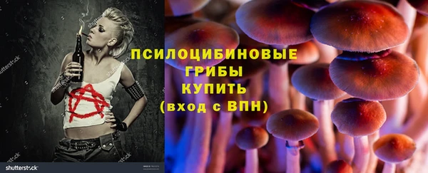 хмурый Армянск